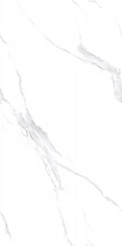 MD90101L_02