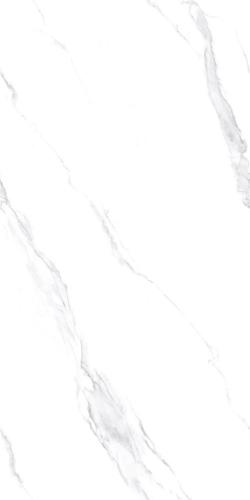 MD90101L_03