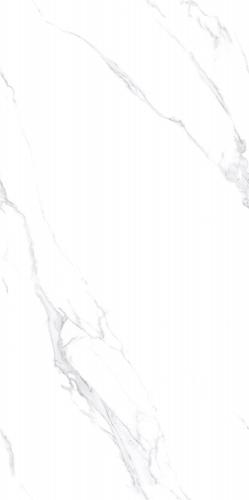MD90101L_04