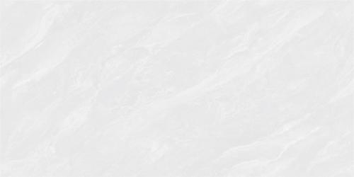 ML48055-4