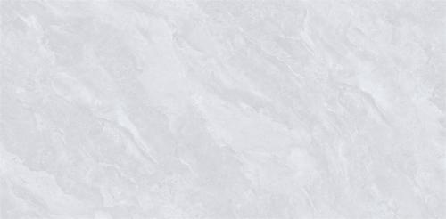 MR48725-4