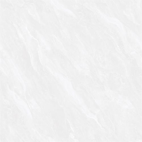 ML8618-2