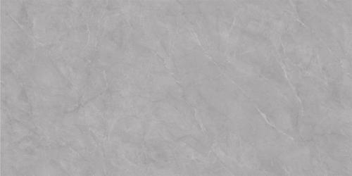 ML48061-2