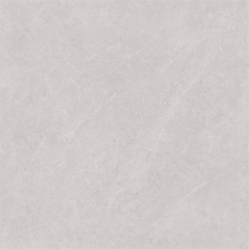 ML8629-2