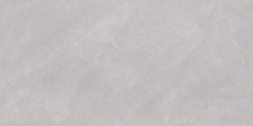ML48056A-2