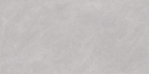 ML48056A-4