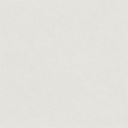 ML8638-2