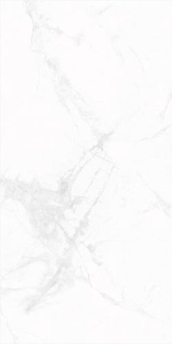 MZ75916-2