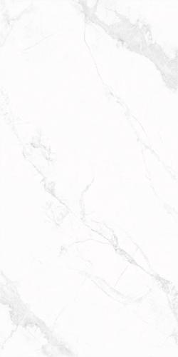 MZ75916-4