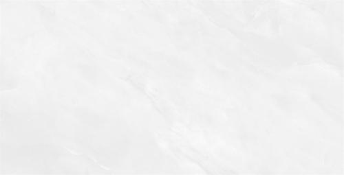 MT48030-4