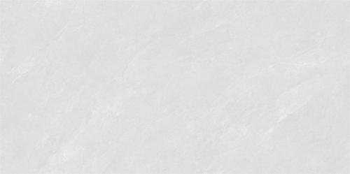 ML48081-4