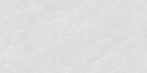 ML48082-2