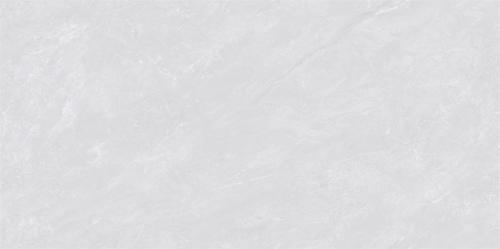 ML48082-4