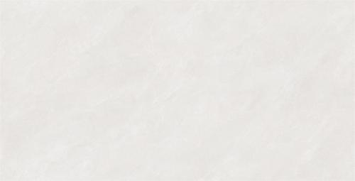MR48761-2