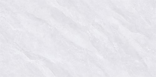 ML48605A-02