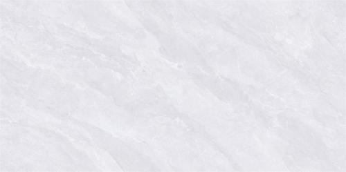 ML48605A-03