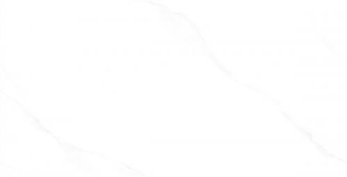 ML48066-2