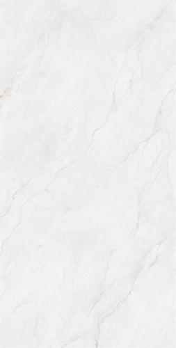 MCF12263-2