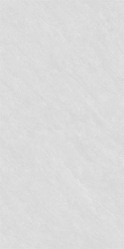 MT12307-2