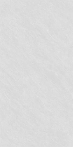 MT12307-4