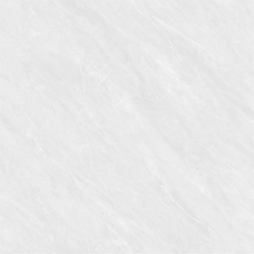 MT8303-4
