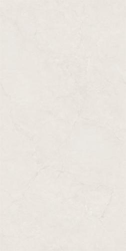 MJ75613-2